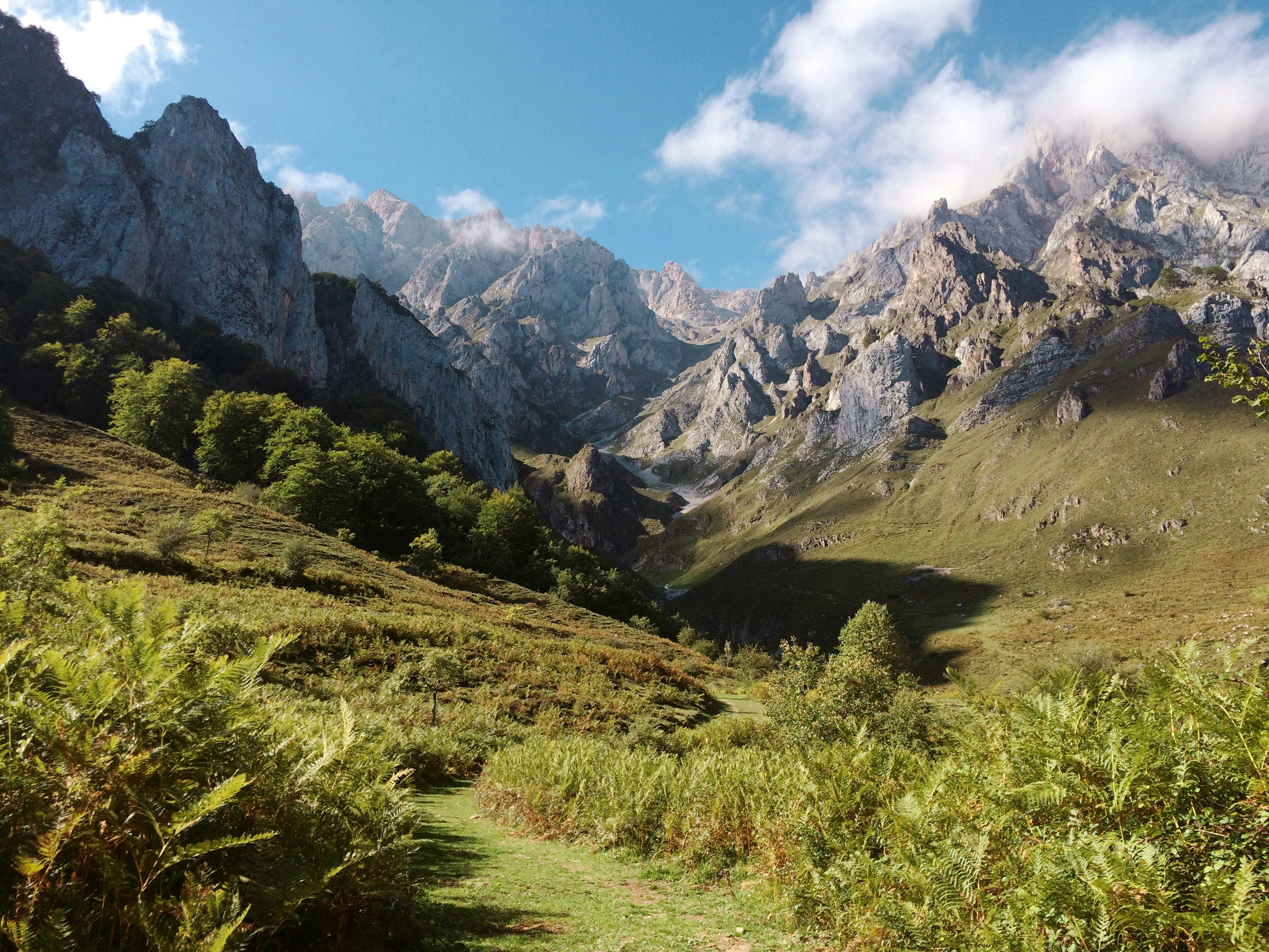 mountain range with green grassy mountainside